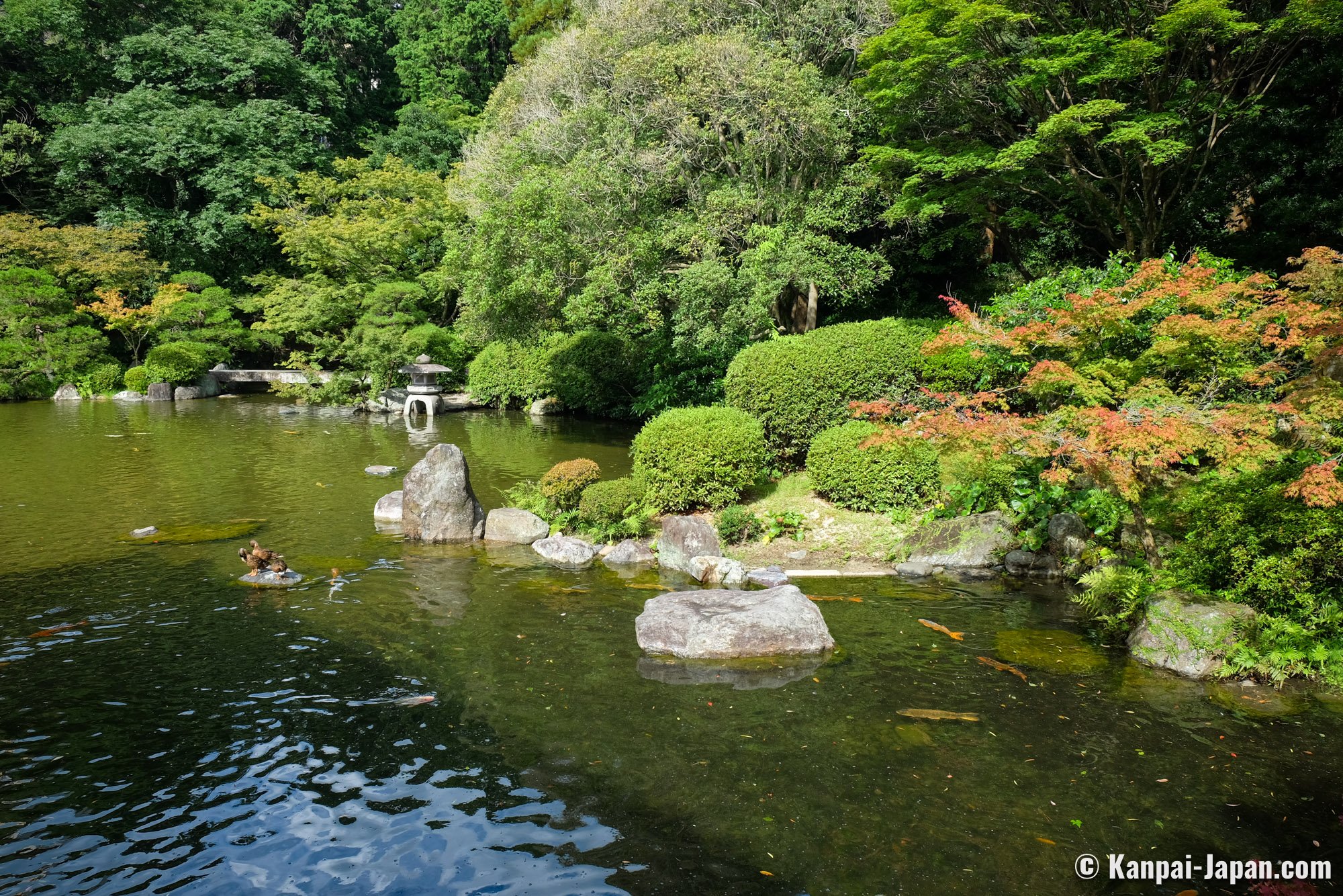 🌳 우정의 샘 정자 공원(유센테이 코엔) 이미지 9